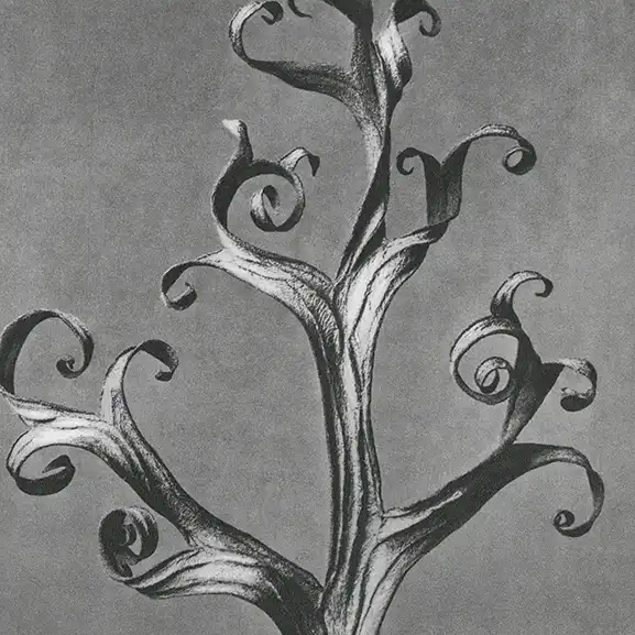 Home Image for service